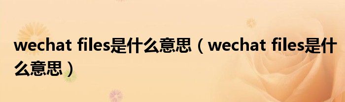 wechat files是什么意思(wechat files是什么意思)