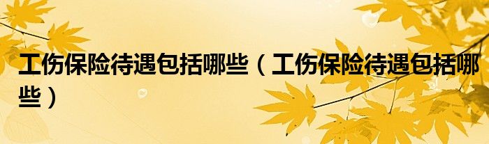 工伤保险待遇包括哪些(工伤保险待遇包括哪些)