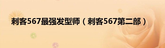 刺客567最强发型师（刺客567第二部）