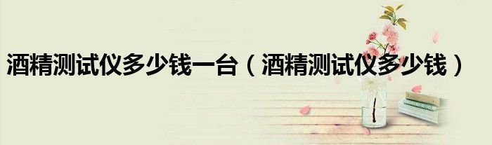 酒精测试仪多少钱一台(酒精测试仪多少钱)