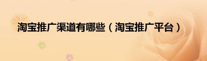 淘宝推广渠道有哪些(淘宝推广平台)
