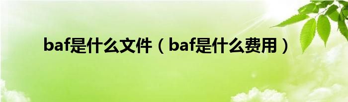 baf是什么文件（baf是什么费用）