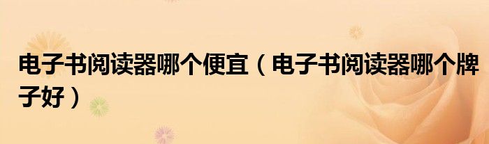 电子书阅读器哪个便宜(电子书阅读器哪个牌子好)