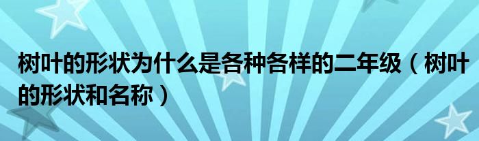 树叶的形状为什么是各种各样的二年级(树叶的形状和名称)