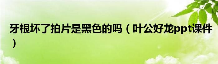 牙根坏了拍片是黑色的吗(叶公好龙ppt课件)
