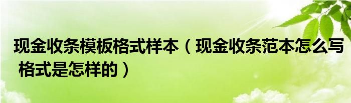 现金收条模板格式样本(现金收条范本怎么写 格式是怎样的)