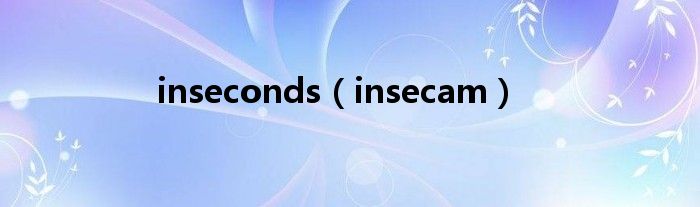 inseconds(insecam)
