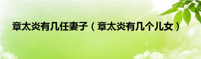 章太炎有几任妻子(章太炎有几个儿女)