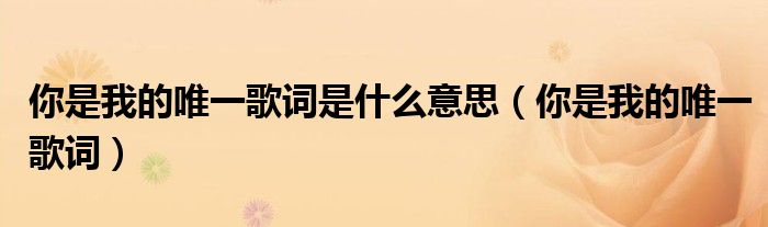 你是我的唯一歌词是什么意思(你是我的唯一歌词)