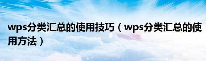 wps分类汇总的使用技巧(wps分类汇总的使用方法)