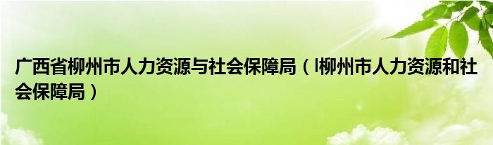 广西省柳州市人力资源与社会保障局(l柳州市人力资源和社会保障局)