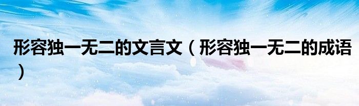 形容独一无二的文言文(形容独一无二的成语)