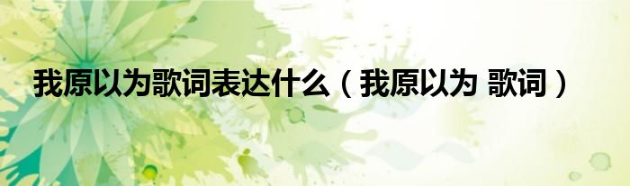 我原以为歌词表达什么(我原以为 歌词)