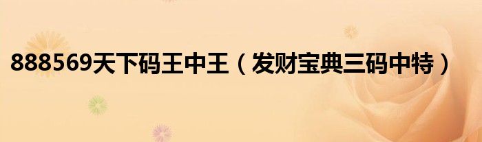 888569天下码王中王(发财宝典三码中特)
