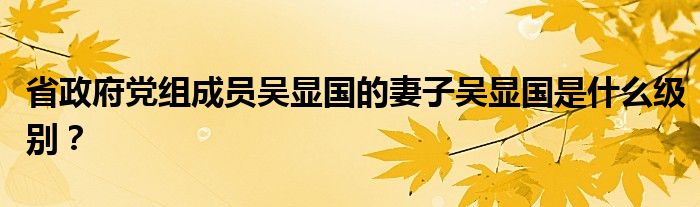 省政府党组成员吴显国的妻子吴显国是什么级别?
