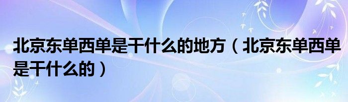 北京东单西单是干什么的地方(北京东单西单是干什么的)