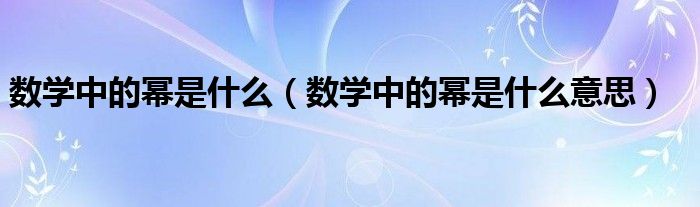 数学中的幂是什么(数学中的幂是什么意思)
