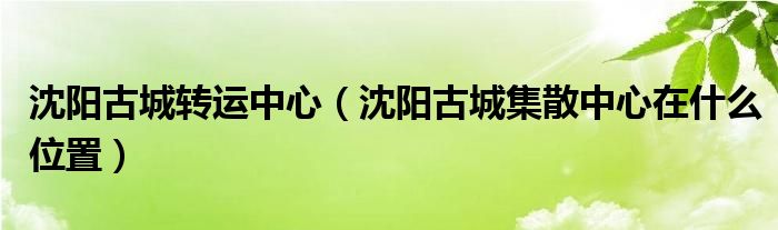 沈阳古城转运中心(沈阳古城集散中心在什么位置)