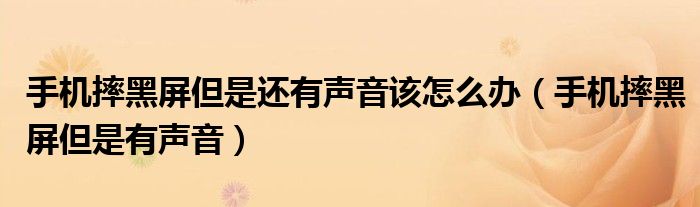 手机摔黑屏但是还有声音该怎么办(手机摔黑屏但是有声音)