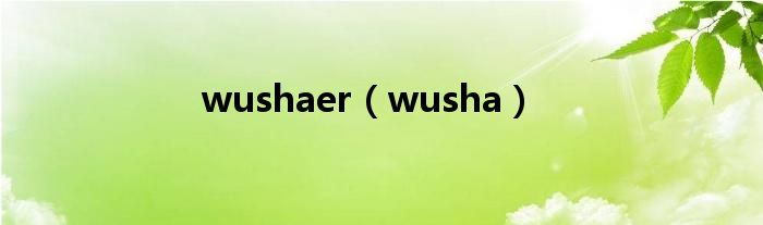 wushaer(wusha)