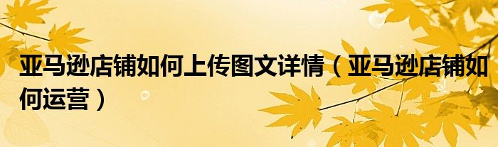 亚马逊店铺如何上传图文详情(亚马逊店铺如何运营)