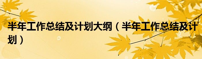 半年工作总结及计划大纲(半年工作总结及计划)