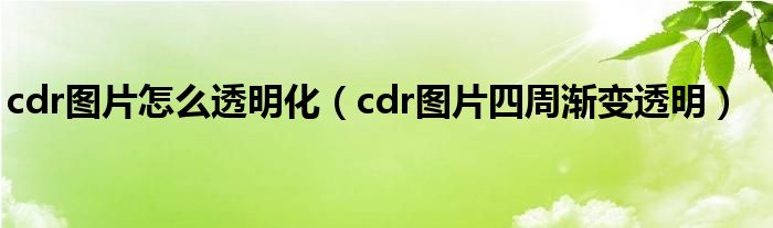 cdr图片怎么透明化（cdr图片四周渐变透明）