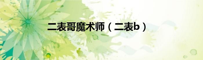 二表哥魔术师（二表b）