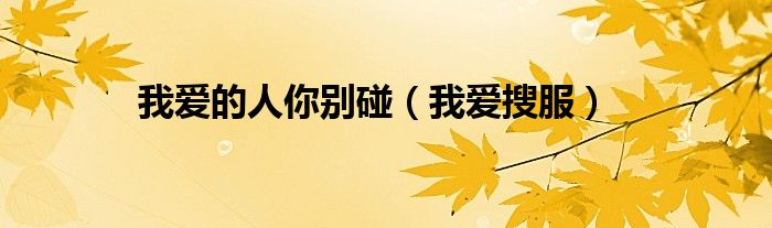 我爱的人你别碰(我爱搜服)