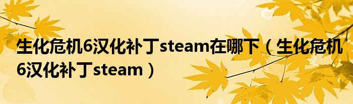 生化危机6汉化补丁steam在哪下(生化危机6汉化补丁steam)