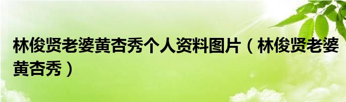 林俊贤老婆黄杏秀个人资料图片(林俊贤老婆黄杏秀)