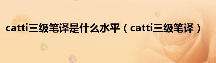 catti三级笔译是什么水平(catti三级笔译)