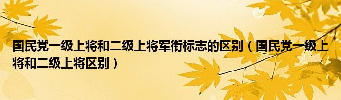 国民党一级上将和二级上将军衔标志的区别(国民党一级上将和二级上将区别)