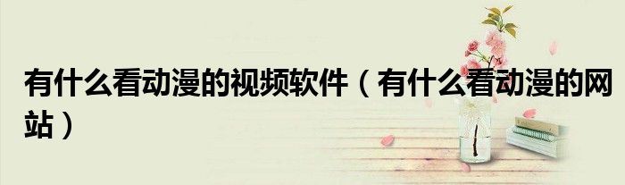有什么看动漫的视频软件(有什么看动漫的网站)