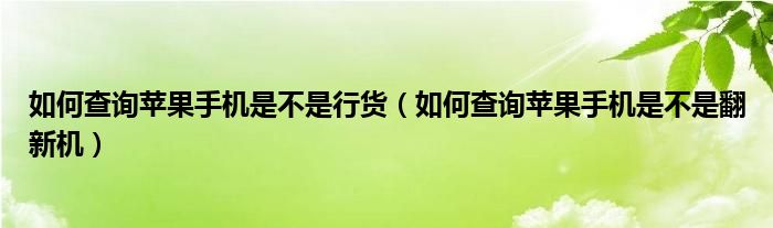 如何查询苹果手机是不是行货(如何查询苹果手机是不是翻新机)