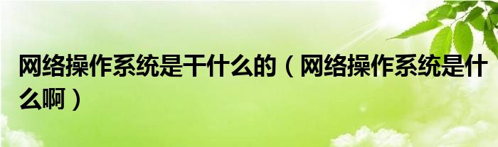 网络操作系统是干什么的(网络操作系统是什么啊)