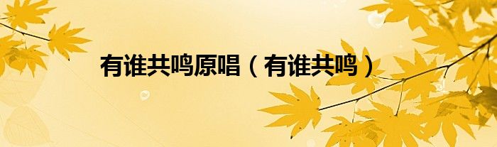 有谁共鸣原唱（有谁共鸣）