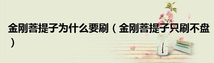 金刚菩提子为什么要刷(金刚菩提子只刷不盘)
