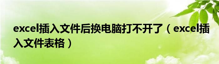excel插入文件后换电脑打不开了(excel插入文件表格)