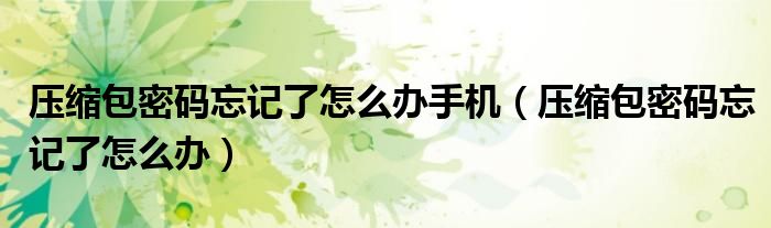 压缩包密码忘记了怎么办手机(压缩包密码忘记了怎么办)