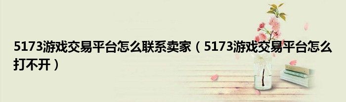 5173游戏交易平台怎么联系卖家(5173游戏交易平台怎么打不开)