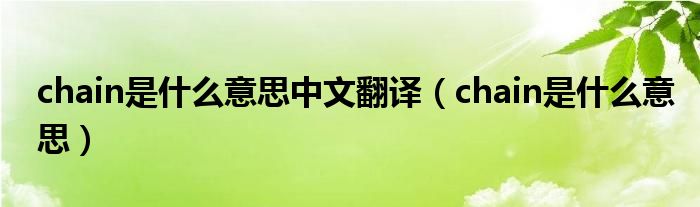 chain是什么意思中文翻译(chain是什么意思)