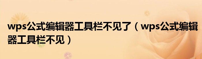wps公式编辑器工具栏不见了(wps公式编辑器工具栏不见)