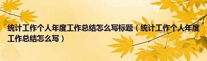 统计工作个人年度工作总结怎么写标题(统计工作个人年度工作总结怎么写)