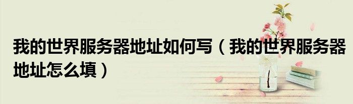 我的世界服务器地址如何写(我的世界服务器地址怎么填)