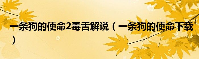 一条狗的使命2毒舌解说(一条狗的使命下载)