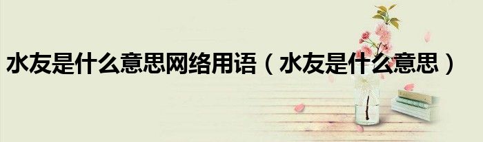 水友是什么意思网络用语(水友是什么意思)
