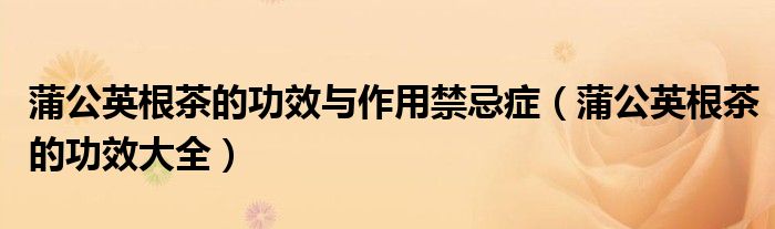 蒲公英根茶的功效与作用禁忌症(蒲公英根茶的功效大全)