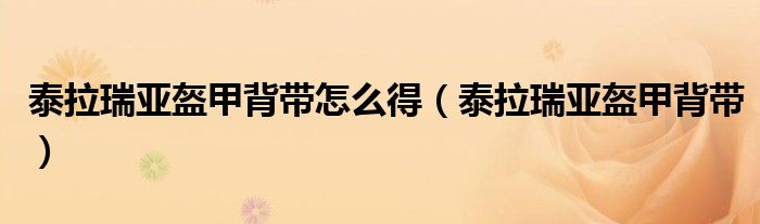 泰拉瑞亚盔甲背带怎么得(泰拉瑞亚盔甲背带)