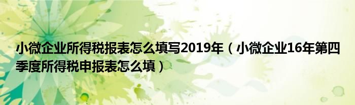 小微企业所得税报表怎么填写2019年(小微企业16年第四季度所得税申报表怎么填)